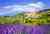 Lavender fields before Simiane La Rotonde Village | Provence, France