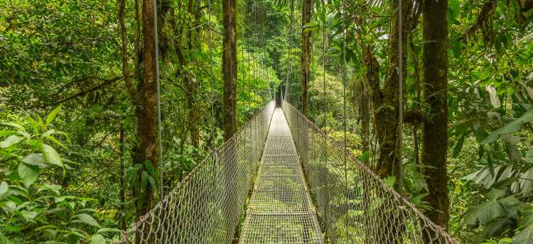 Costa Rican Rainforest | Tours to Central and South America