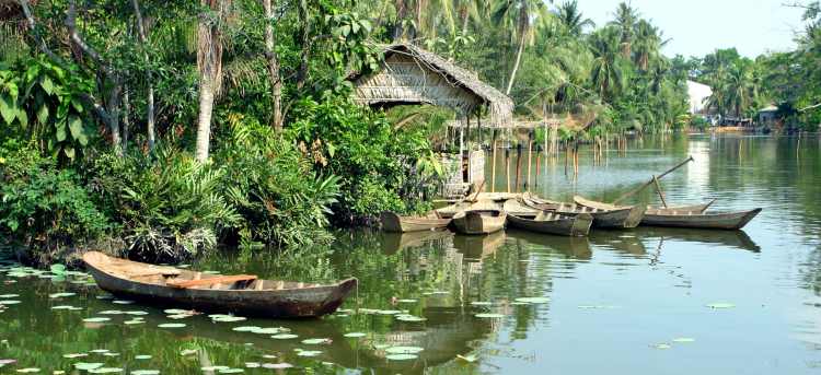 Lush trees and wooden boats by the Mekong tributary | Mekong | Escorted Tours