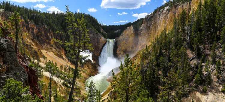 Lower falls of Yellowstone