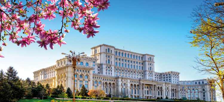 Romania Parliament with pink flowers in Bucharest