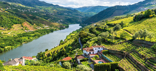 Douro river valley and vineyards