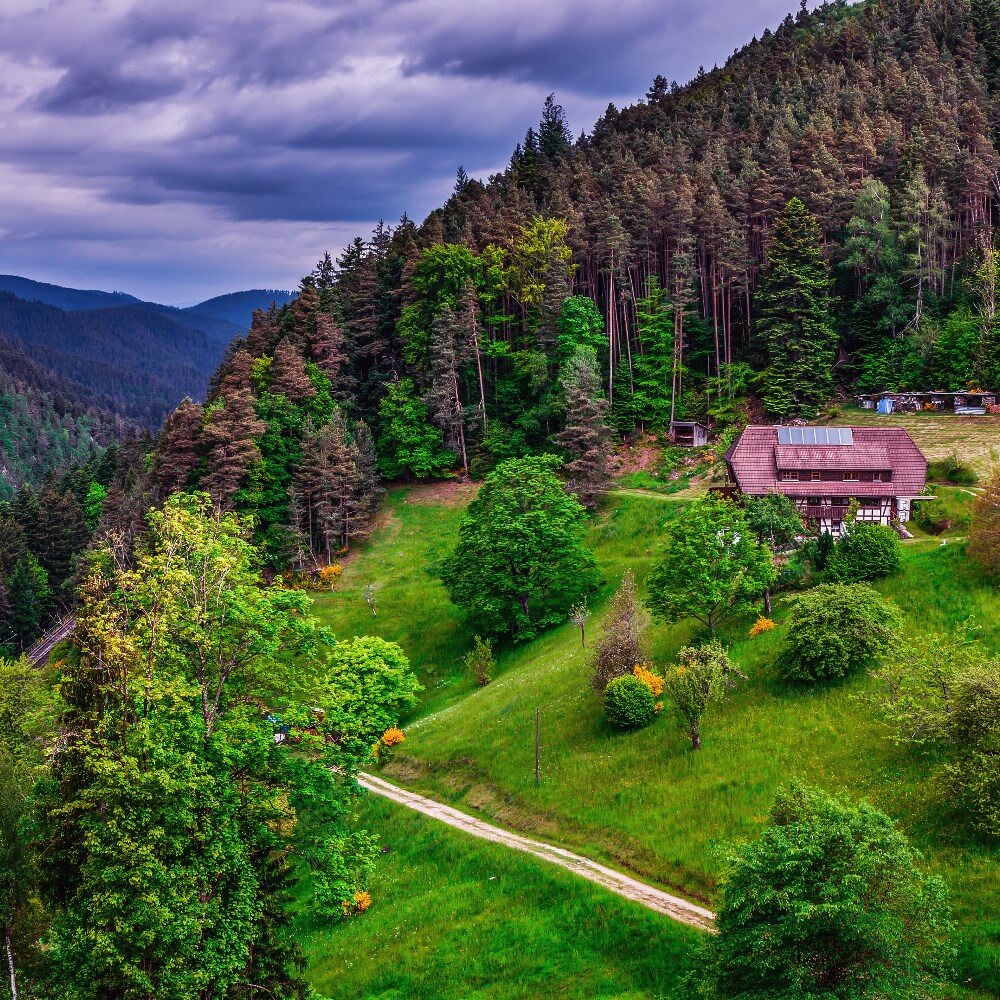 The Black Forest, Germany