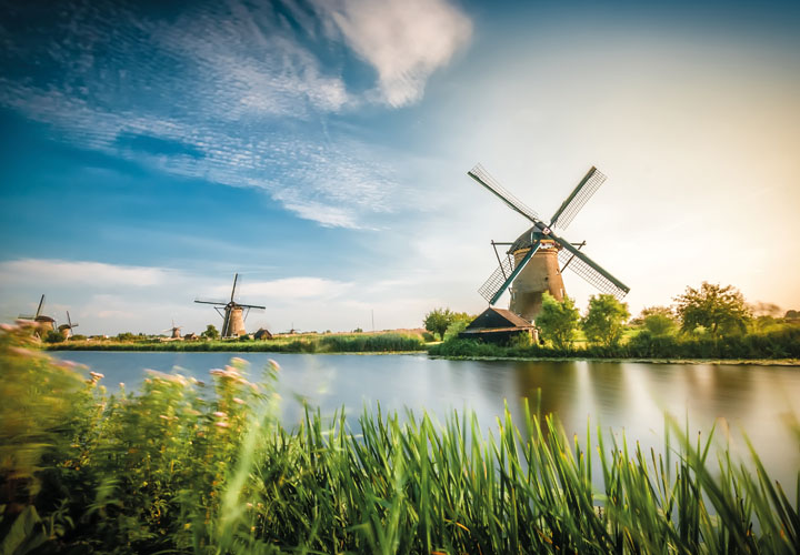 Dutch windmill green