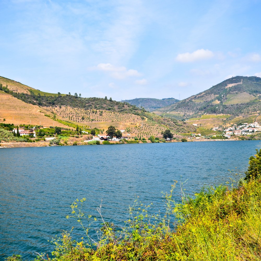 View of the Douro River