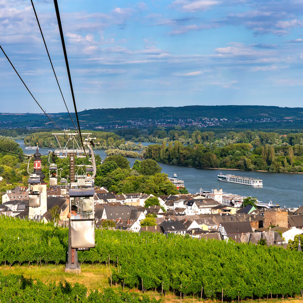 Overlooking the vineyard from the cable car in Niederwalddenkmal of Rüdesheim ,Germany
