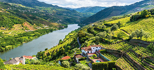 Douro River running through the Douro valley, Spain, Portugal