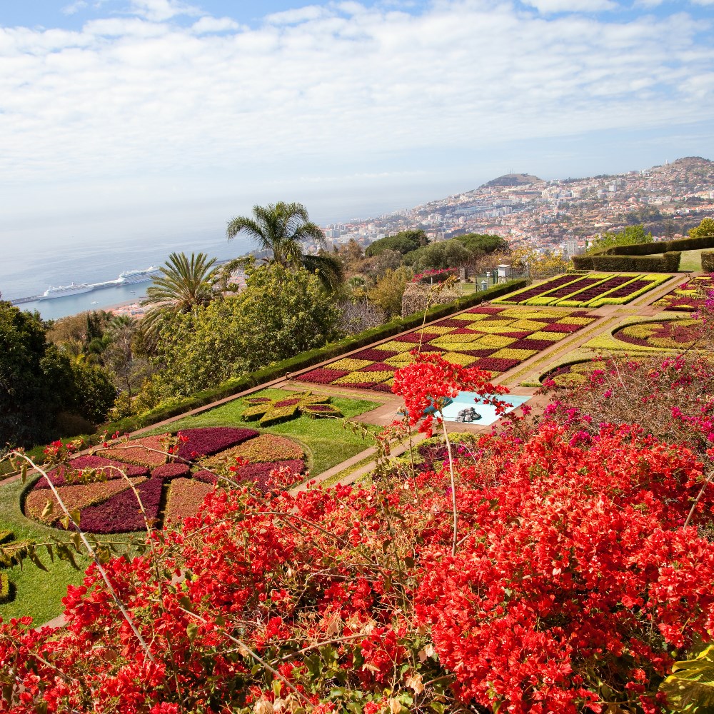 madeira atlantic tours